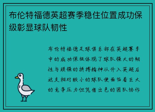 布伦特福德英超赛季稳住位置成功保级彰显球队韧性